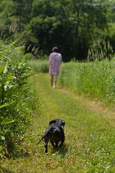 Click to see Shiloh 04 Following.JPG