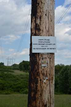 Click to see Signs 06.JPG