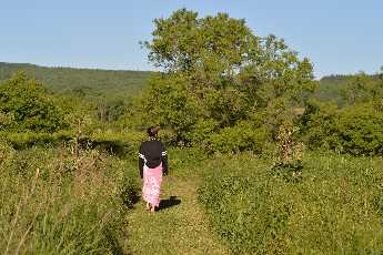 Click to see Swimming 01.JPG