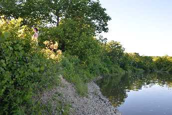 Click to see Swimming 02.JPG