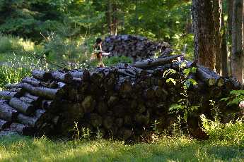 Click to see Whitney Point 07 Woodpile.JPG