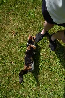 Click to see Whitney Point 12 Cloey.JPG